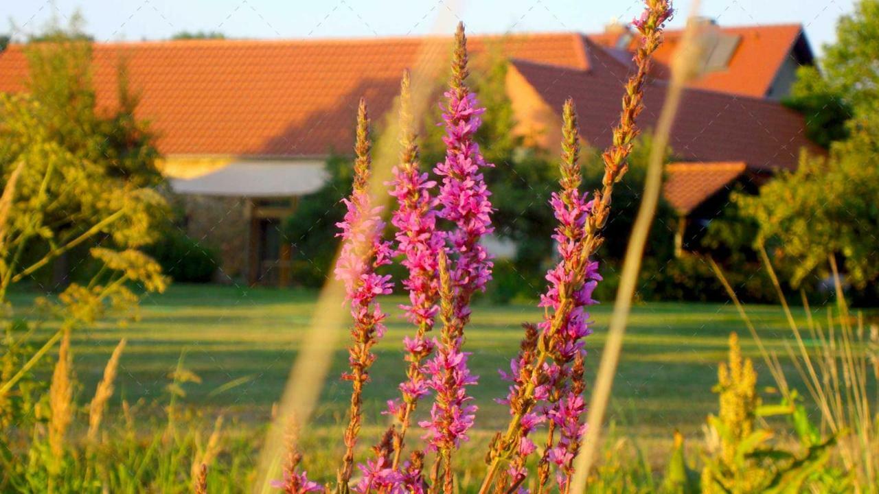 Janischs Fewo Im Spreewald, Terrasse, Grosser Garten Und Blick Inklusive Unterspreewald Exterior foto