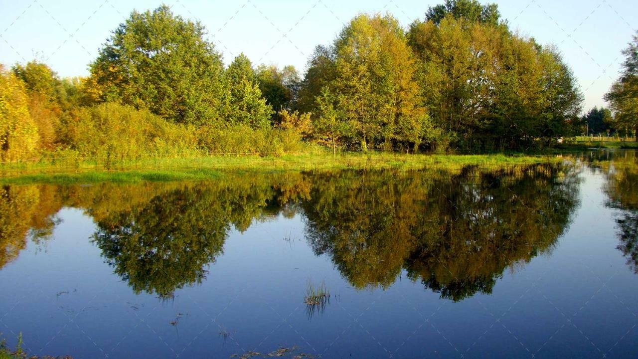 Janischs Fewo Im Spreewald, Terrasse, Grosser Garten Und Blick Inklusive Unterspreewald Exterior foto